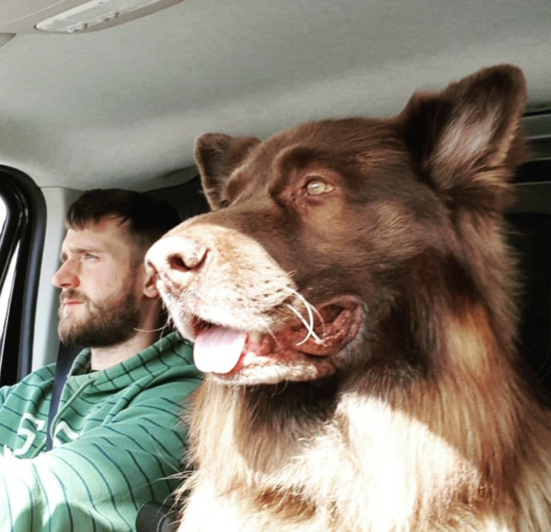 Dean driving the Howard Naish van with his German Shepherd riding shotgun