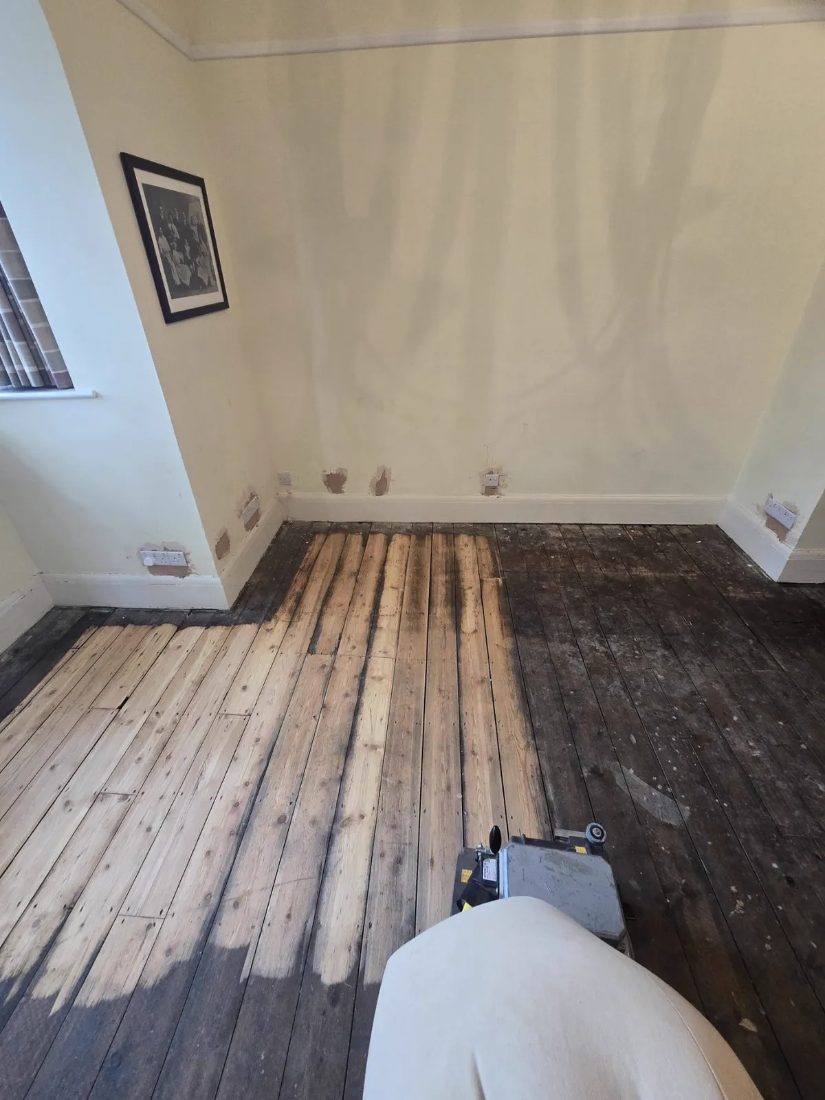 Pine floor during sanding with fresh timber emerging